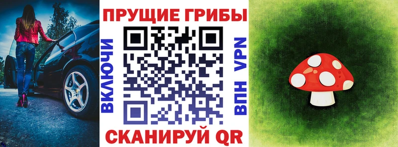 Псилоцибиновые грибы прущие грибы купить сайты Мосальск